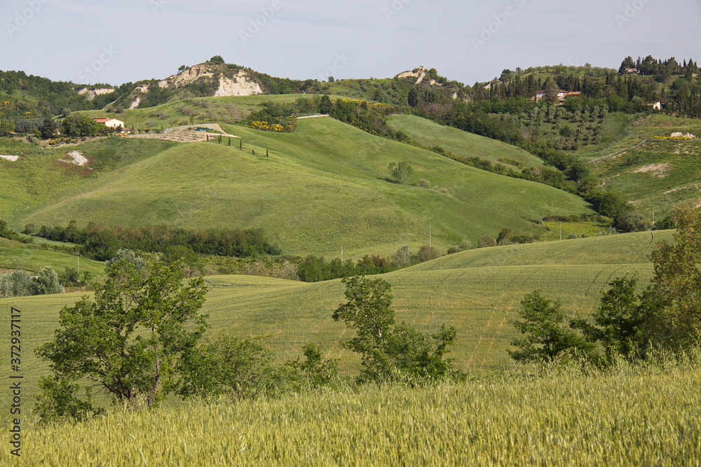 Landscape in Province of Siena, Tuscany, Italy, Europe 
