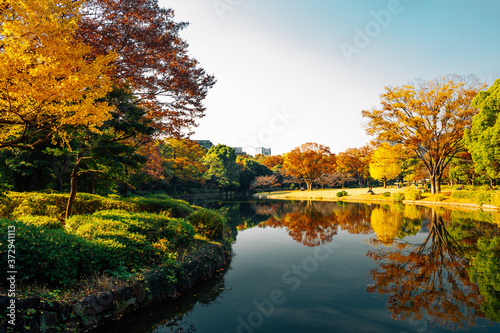 Autumn scenery of Kitanomaru Garden Park in Tokyo, Japan