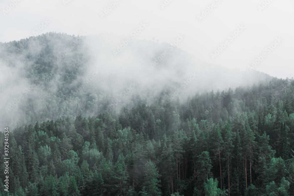 Fototapeta premium White smoke in the wooded taiga mountains from burning fire.