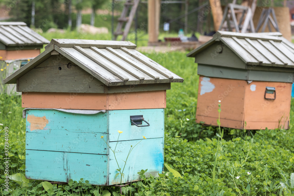 Wooden houses for breeding bees in apiary in mountains. Wooden houses for breeding bees in apiary in mountains.