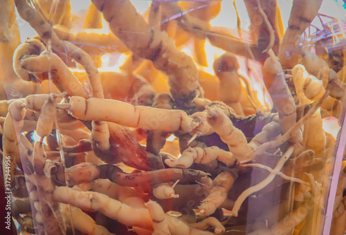 Φωτογραφία Close up of traditional ginseng root wine used in homeopathy and traditional chi
