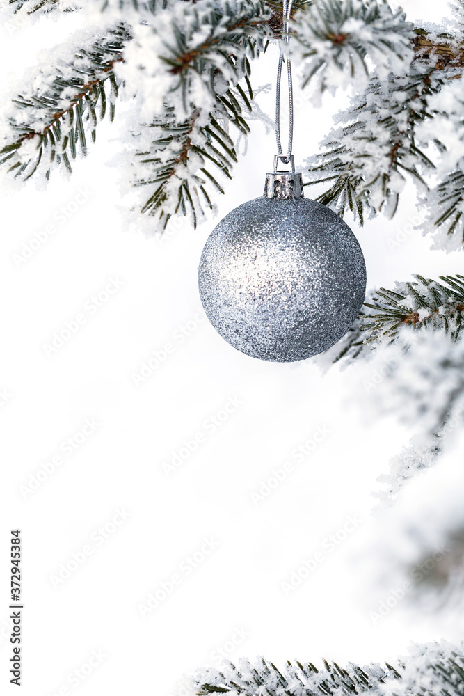 Christmas decorations on the pine branch Christmas decorations on the pine branch