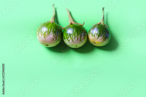 Three Kermit eggplant or Bitter ball against a green colored background to show concept of veganism, vegan, plant-based diet and Eco-friendly lifestyle photo