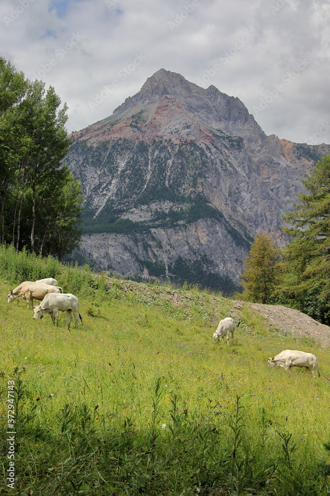 Fototapeta premium Bardonecchia (Piedmont, Italy)
