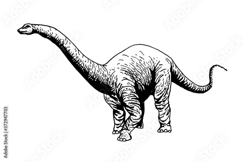 Graphical  diplodocus isolated on white background,vector illustration