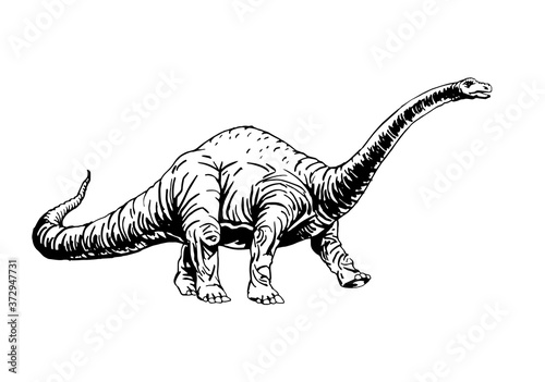 Graphical  diplodocus isolated on white background,vector illustration