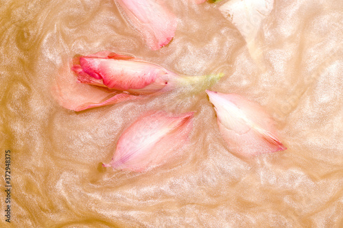Wallpaper with flower buds in shiny water with shimmer