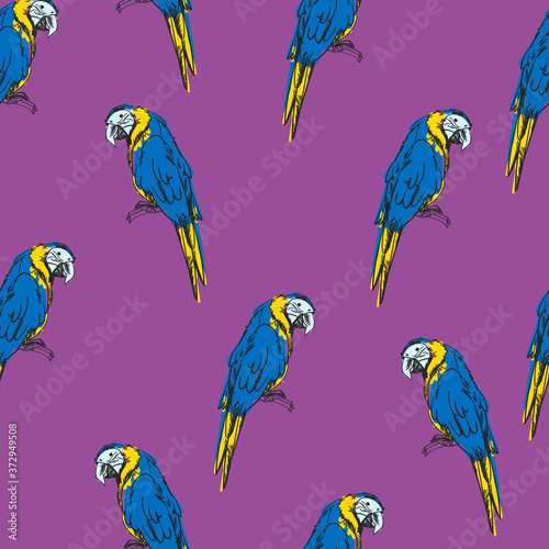 Parrot bird seamless pattern print summer vector illustration