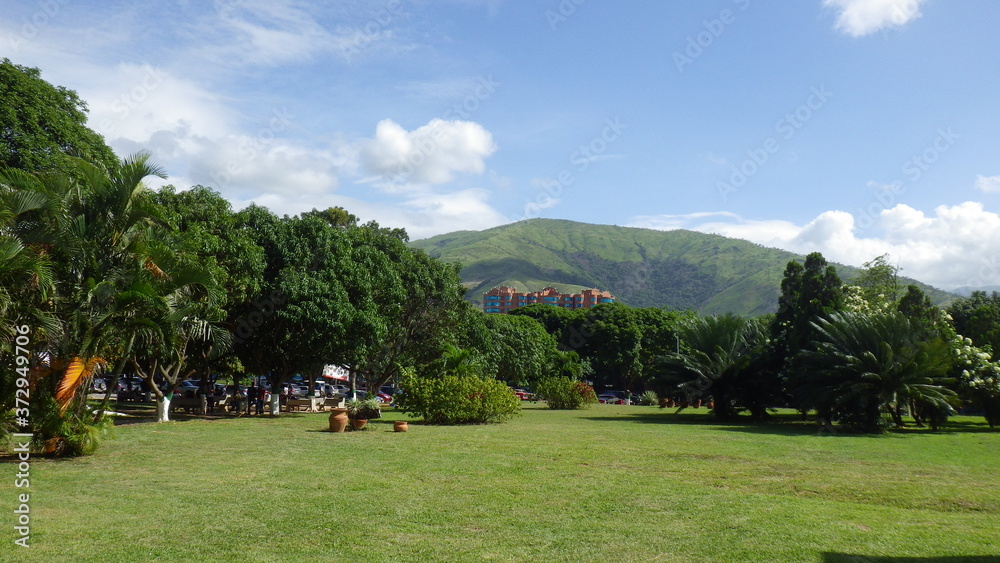 Naklejka premium Upta Federico Brito Figueroa