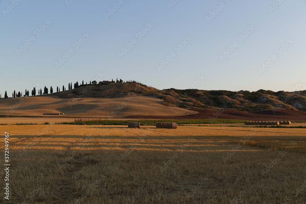 Obraz premium Tuscany landscape around Siena in the early morning