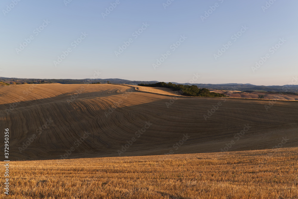 Tuscany landscape around Siena in the early morning