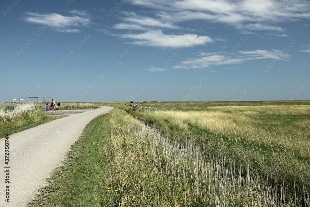 Landschaft an der Nordsee auf der Insel Hooge