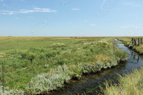flache Landschaft mit einem kleinen Bach an der Nordsee auf Hallig Hooge