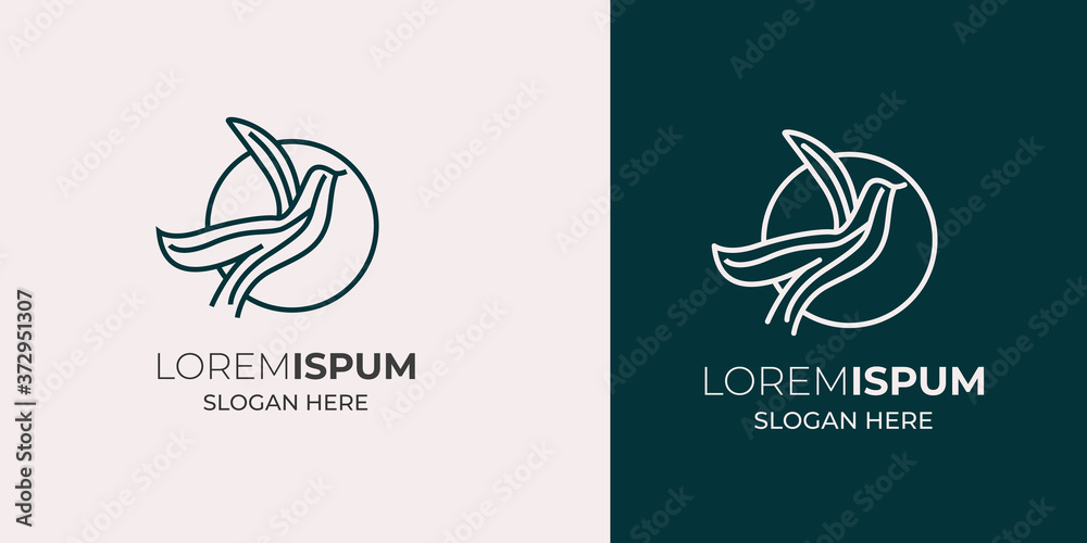 Fototapeta premium bird leaf logo vector icon template download mono line color line art outline.bird logo fly,white dove artwork,one line bird drawing,bird vector logo 3