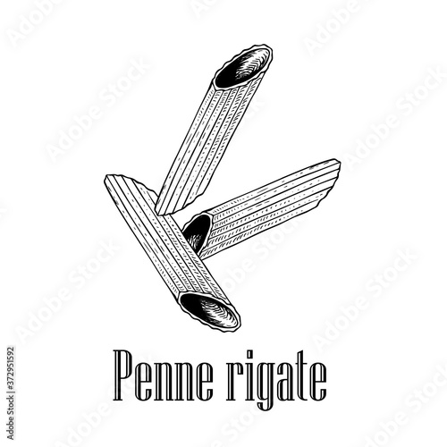 Italian pasta penne rigate. Hand drawn sketch style illustration of traditional italian food. Best for menu designs and packaging. Vector drawing isolated on white background.