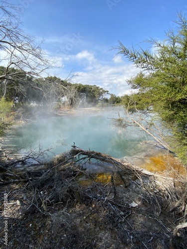 Source chaude du parc Kuirau    Rotorua  Nouvelle Z  lande 