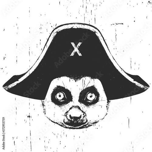 Portrait of Lemur with a pirate hat. Vector. 