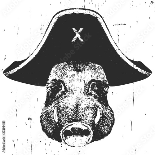 Portrait of Boar with a pirate hat. Vector. 
