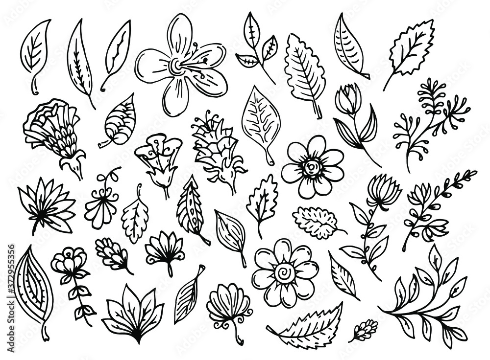 Vector set of outline leaves and flowers. Black contour line art autumn leaves and decorative flowers. Plant ornate decorations overlay. Vector set of outline leaves and flowers. Black contour line art autumn leaves and decorative flowers. Plant ornate decorations overlay.