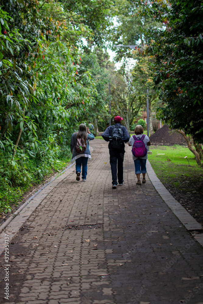 Fototapeta premium walk in the park