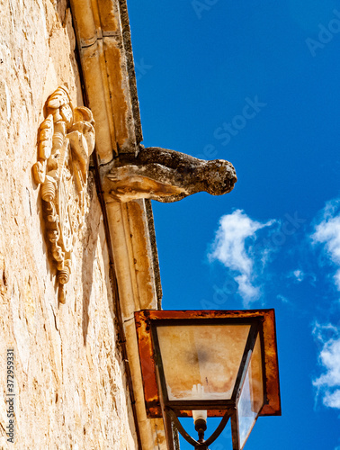 The impasible unperturbed Gargoyle