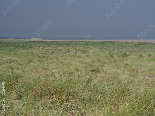 Fototapeta Naklejka Na Ścianę i Meble -  Sand dunes on Lindisfarne Island