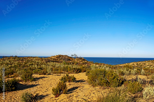 Landscape of the dunes and vegetation in Cuesta Maneli, with the sea in the background