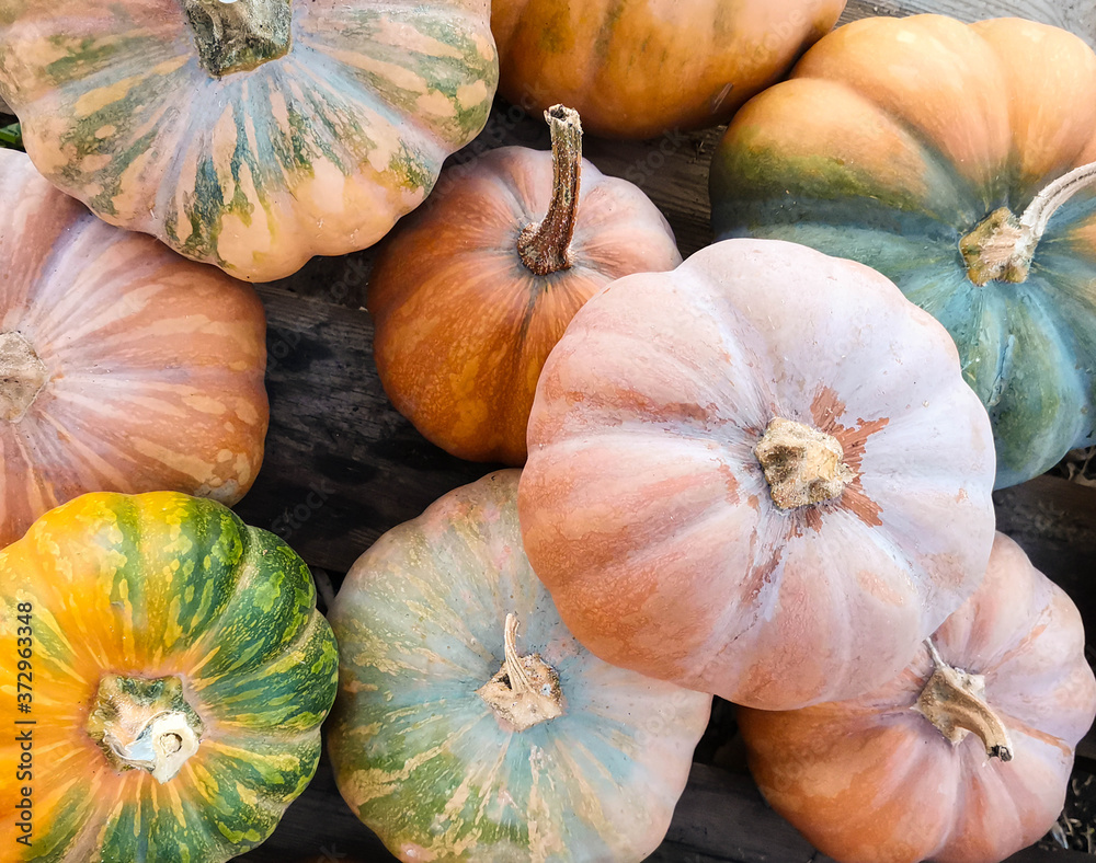 yellow and orange pumpkins on wooden pallet. Top view. Concept of healthy eating.