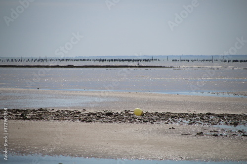 Vendée La Tranche sur mer