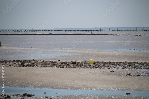 Vendée La Tranche sur mer