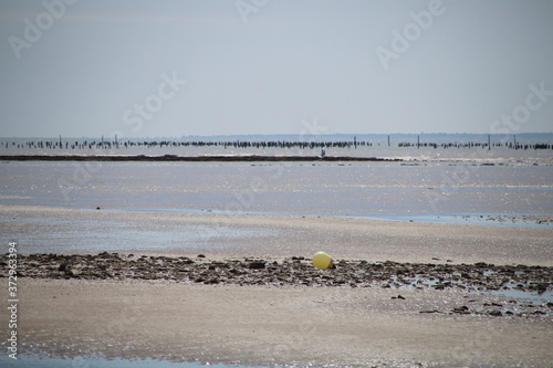Vendée La Tranche sur mer