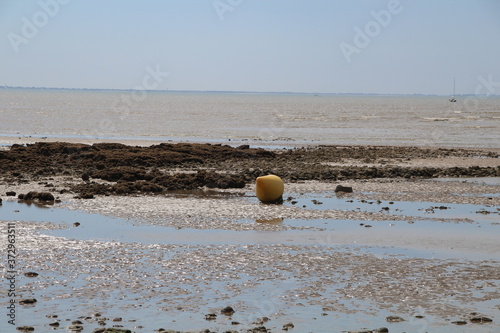 Vendée La Tranche sur mer