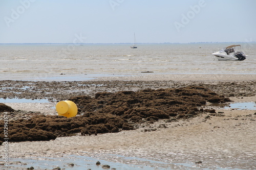 Vendée La Tranche sur mer