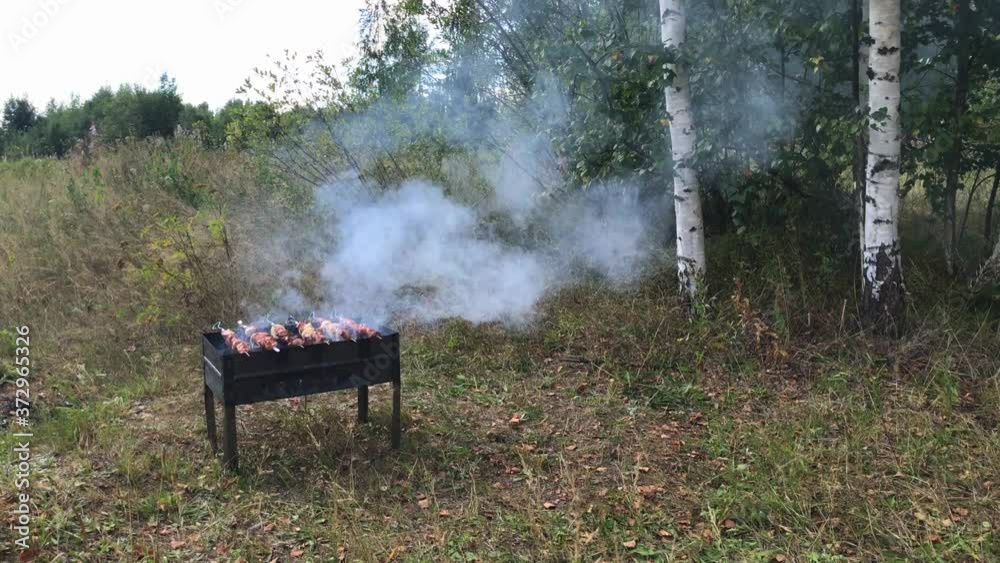 Barbecue on the grill brazier with smoke in the park. Picnic in the forest