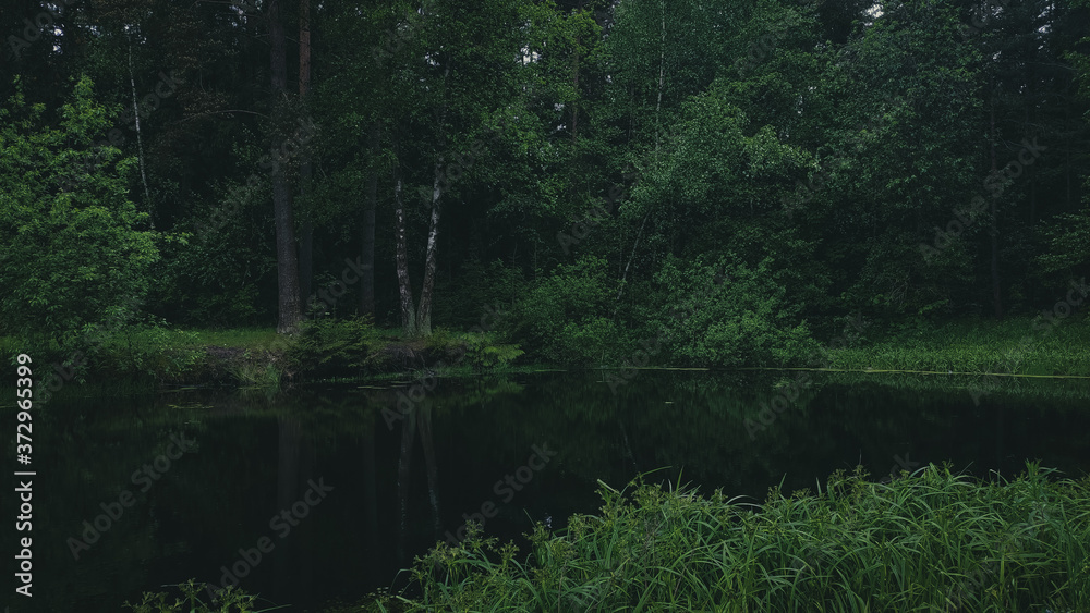 lake in the forest