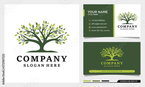 Nature tree of life oak logo design with business card template