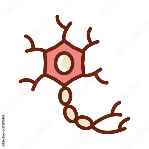 human body cell molecule anatomy organ health line and fill icon