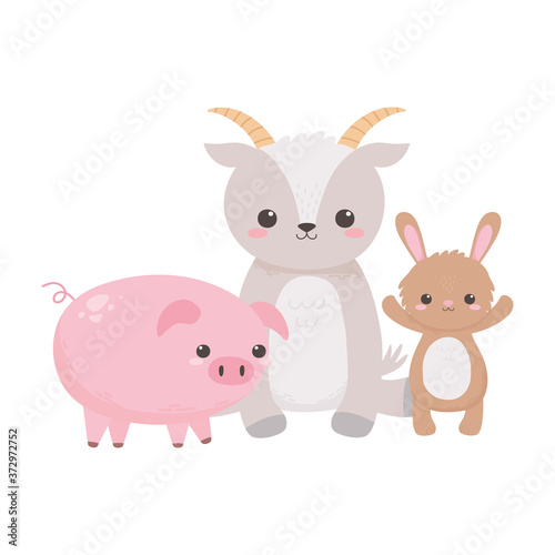 cute little rabbit goat and pig grass cartoon animals