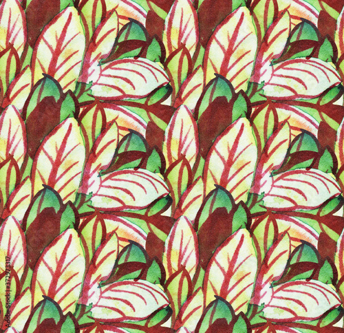 Fototapeta Naklejka Na Ścianę i Meble -  The intricate batik pattern