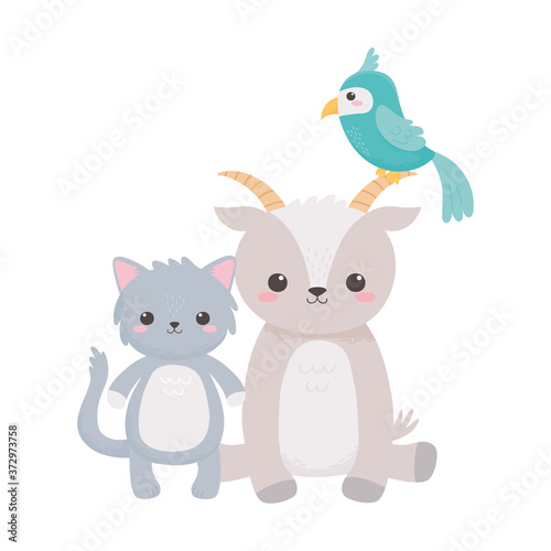 cute goat cat and parrot cartoon animals isolated white background design © Stockgiu