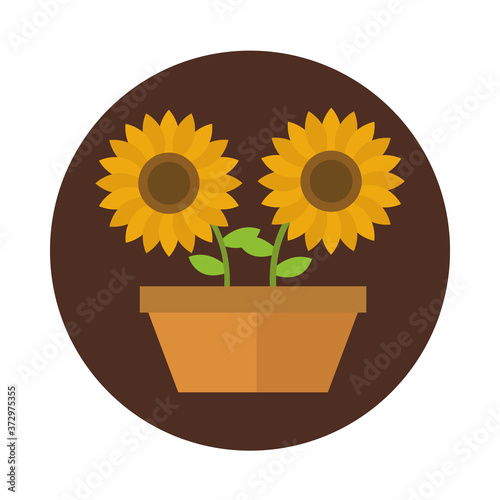 agriculture and farming potted sunflowers block and flat icon