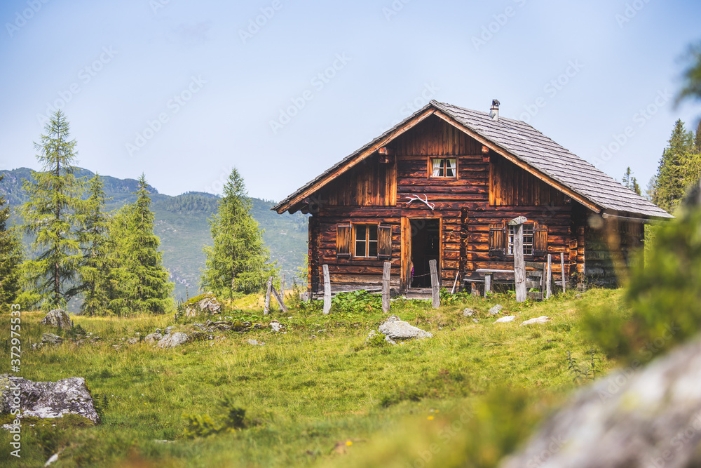 Fototapeta premium Idyllic mountain landscape in the alps: Mountain chalet, meadows and blue sky