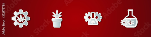 Set Test tube with marijuana, Marijuana plant in pot, and icon. Vector.