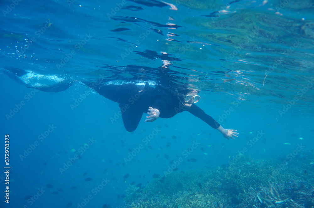 Naklejka premium a lady with hijab / veil snorkeling in the sea
