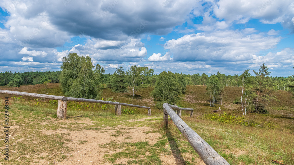 Lüneburger Heide 
