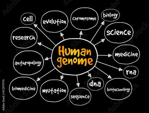 Human genome mind map, medical concept for presentations and reports