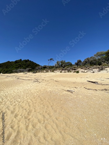 Plage déserte de sable blanc, parc Abel Tasman, Nouvelle Zélande © Atlantis