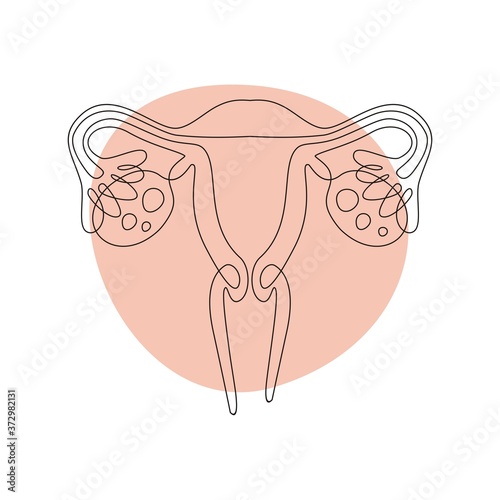 Female uterus with a line