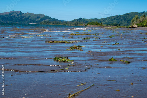 Shoreline of Columbia River at Julia Butler Hansen National Wildlife Refuge in Cathlamet, Washington.