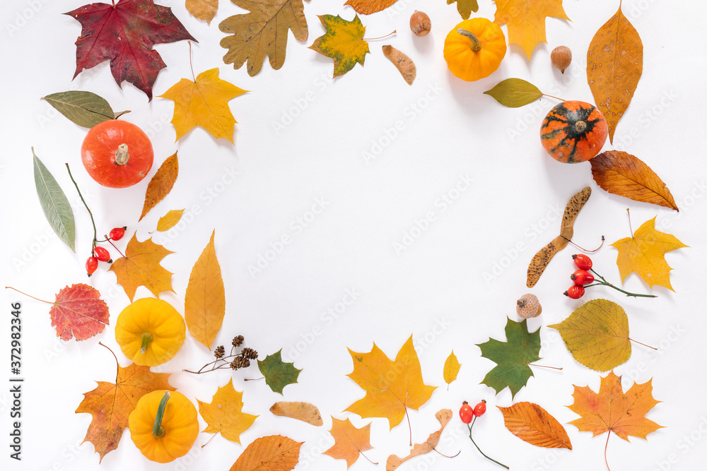 Autumn leaves frame with copy space on white background.